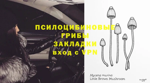 2c-b Балабаново
