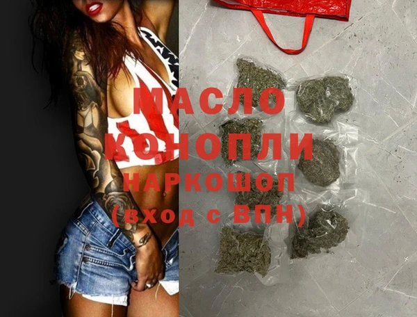 тгк Ельня