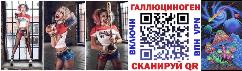 закладка Теберда Галлюциногенные грибы Psilocybine cubensis